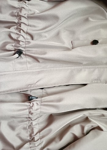 Gri Kaban - Görsel 3