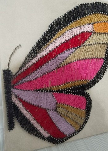 Kelebek filografi - Görsel 2