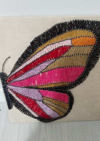 Kelebek filografi - Görsel 3