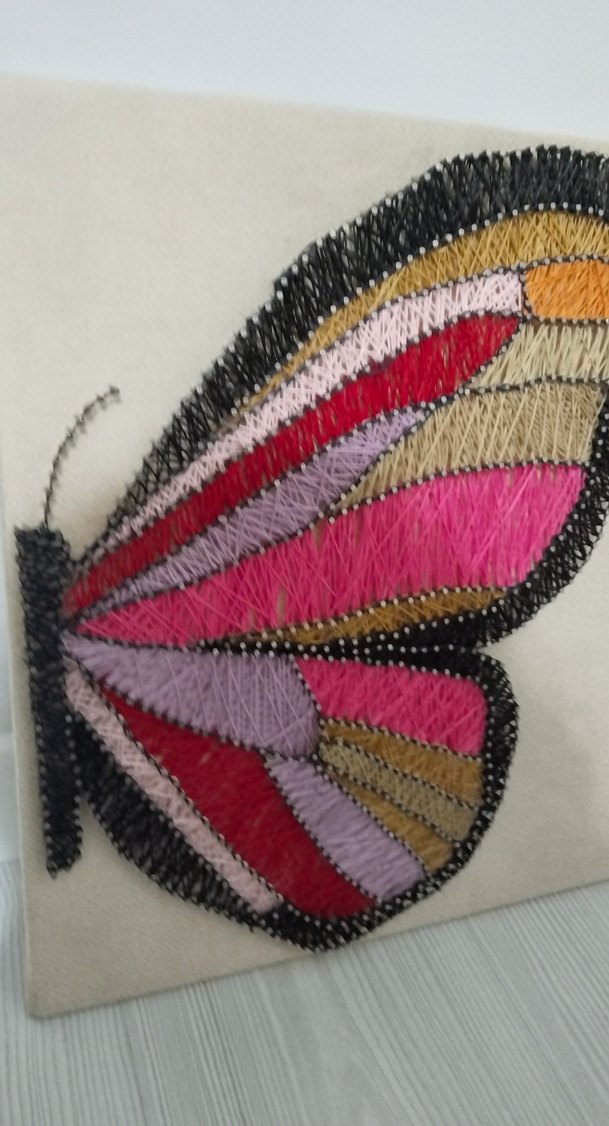 Kelebek filografi - Görsel 2