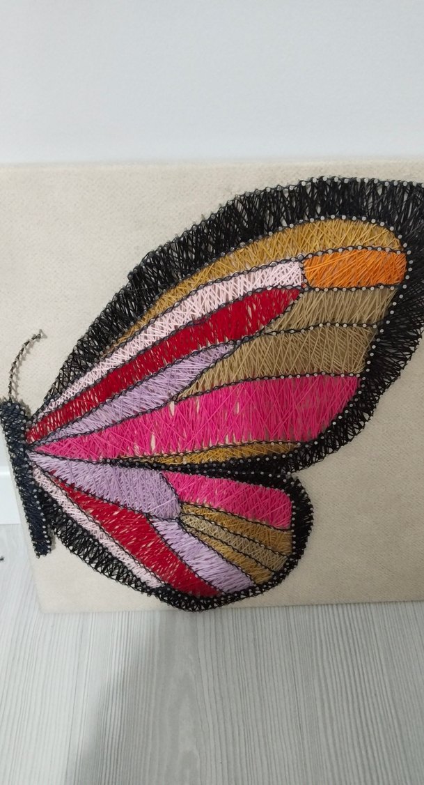 Kelebek filografi - Görsel 3