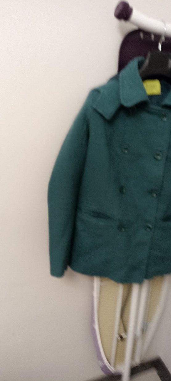 Çift Düğmeli Yeşil Kaban - Görsel 2