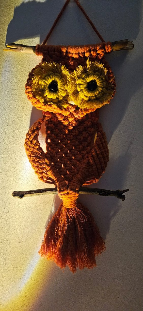 Baykuş Makrome Duvar Süsü - Görsel 3