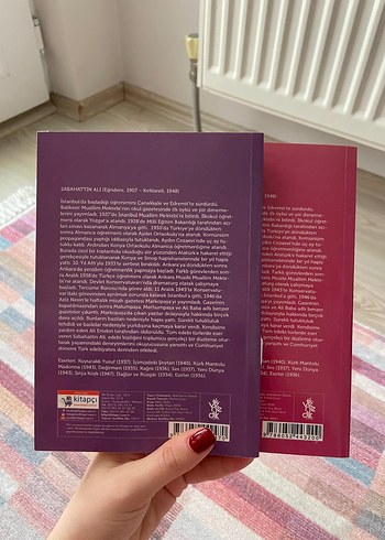 Sabahattin Ali Romanları: Değirmen & Sırça Köşk - Görsel 5