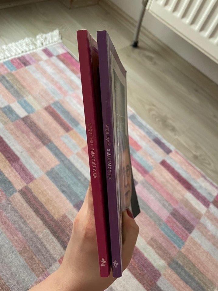 Sabahattin Ali Romanları: Değirmen & Sırça Köşk - Görsel 3