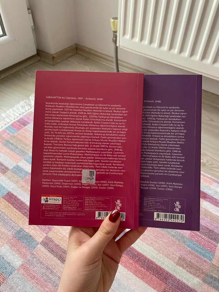 Sabahattin Ali Romanları: Değirmen & Sırça Köşk - Görsel 4