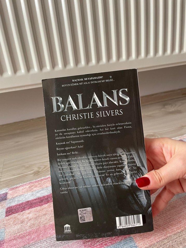 Balans - Christie Silvers Roman - Görsel 3