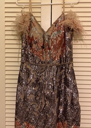 Nakışlı, Tüy Detaylı Uzun Abiye Elbise - Görsel 2