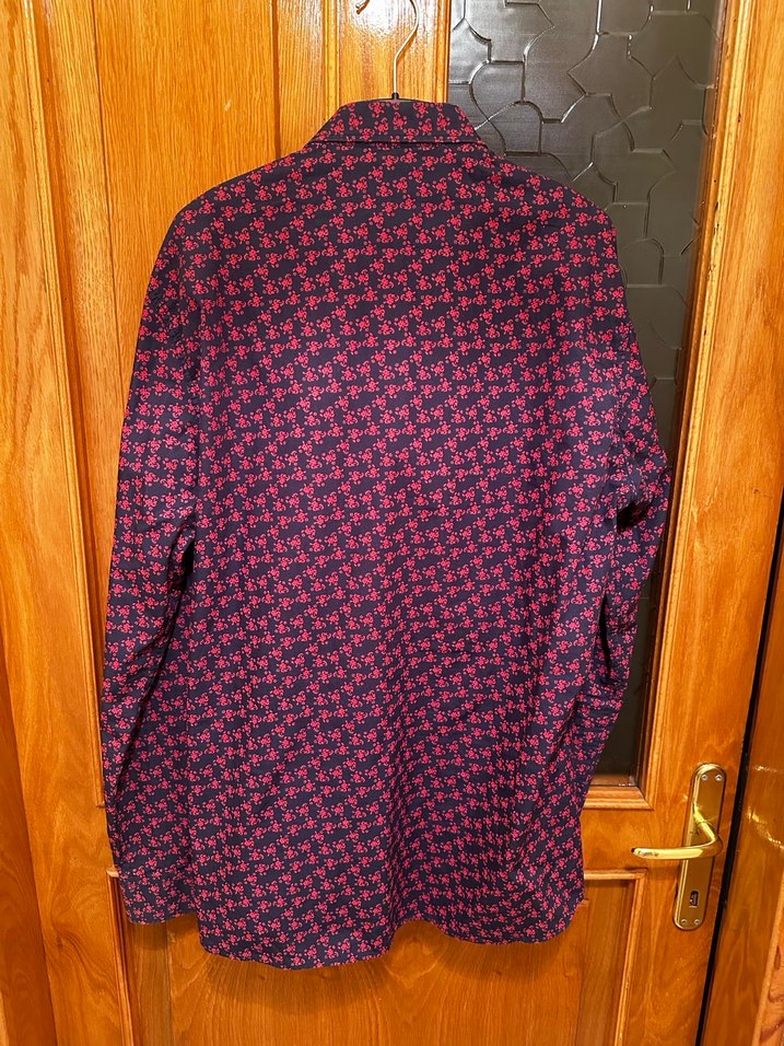 Us polo desenli gömlek - Görsel 3