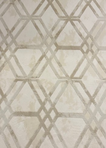 Çağdaş Bej ve Gri Halı - Görsel 3