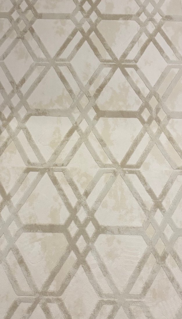 Çağdaş Bej ve Gri Halı - Görsel 3