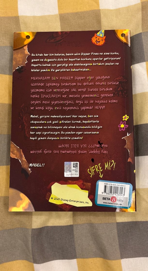 Dipper'in ve Mabel'in Gizem Rehberi - Görsel 3