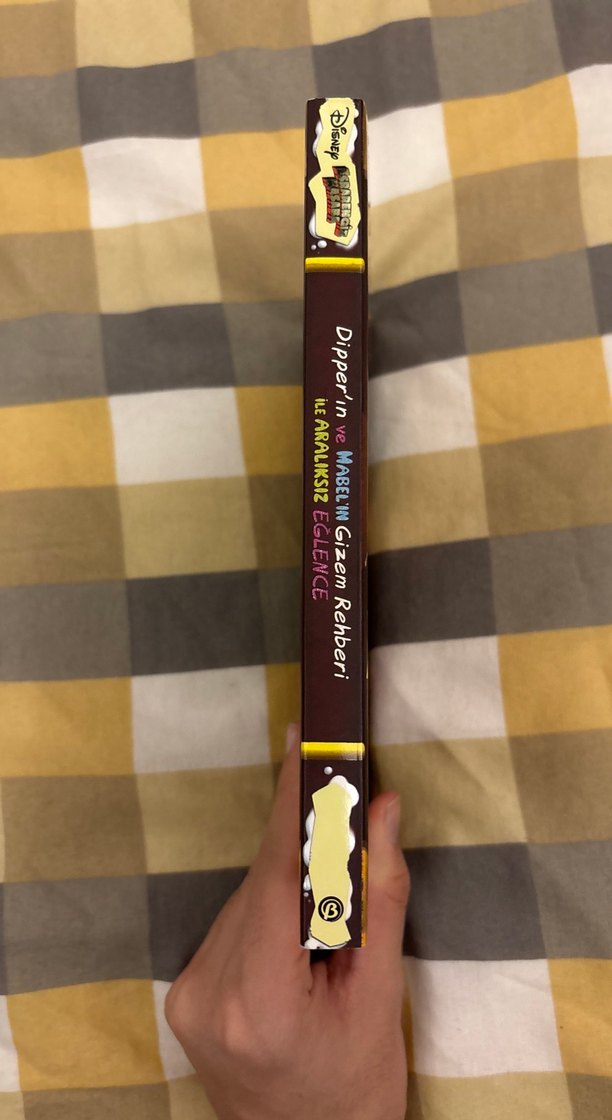 Dipper'in ve Mabel'in Gizem Rehberi - Görsel 2