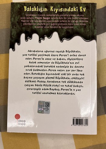 Bataklığın Kıyısındaki Ev ve Çatıdaki Gezegen - Görsel 3