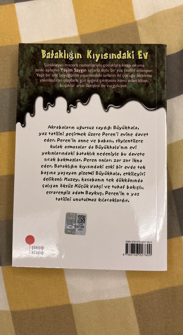 Bataklığın Kıyısındaki Ev ve Çatıdaki Gezegen - Görsel 3