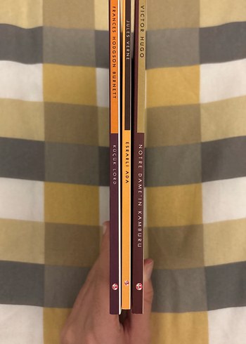 Klasik Roman Seti: Küçük Lord, Esrarli Ada, Notre Dame Kamburu - Görsel 2