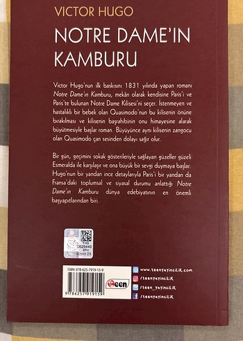 Klasik Roman Seti: Küçük Lord, Esrarli Ada, Notre Dame Kamburu - Görsel 5