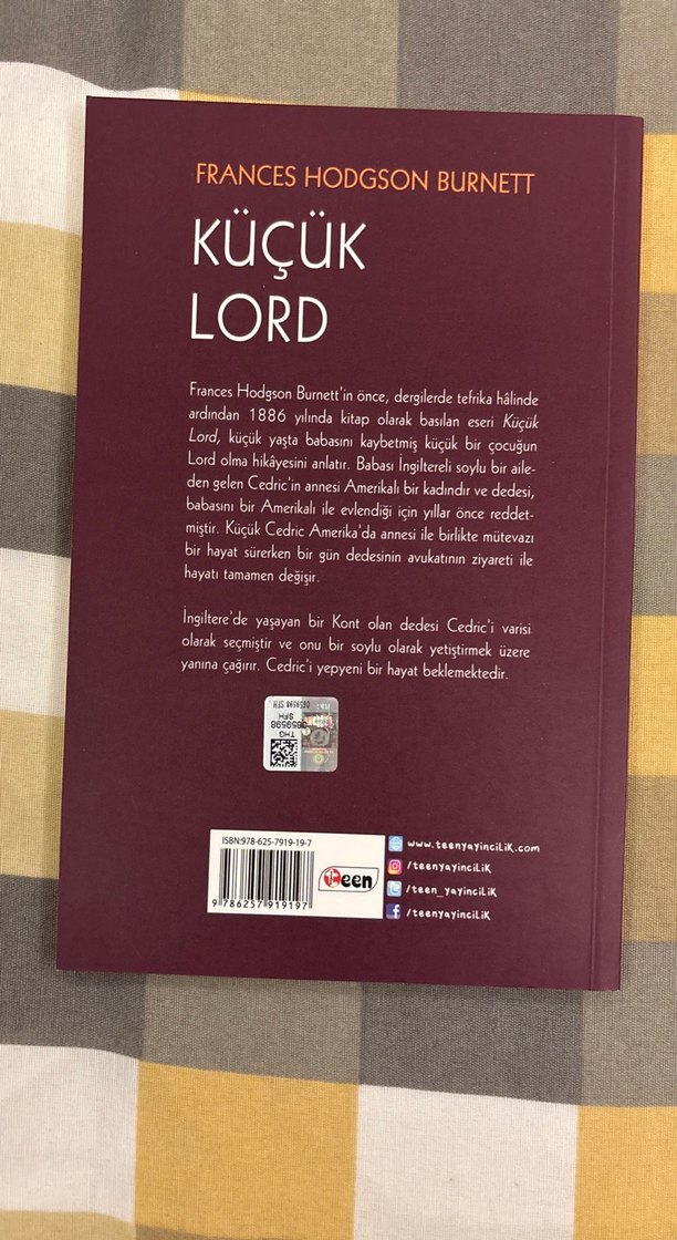 Klasik Roman Seti: Küçük Lord, Esrarli Ada, Notre Dame Kamburu - Görsel 3