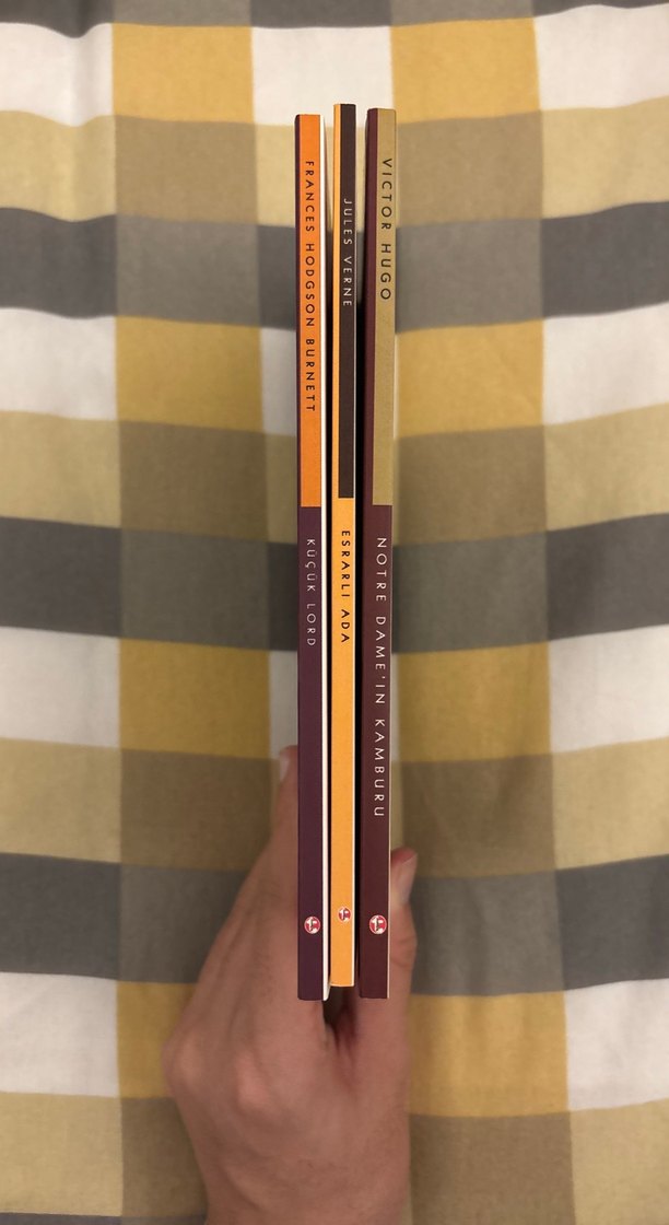 Klasik Roman Seti: Küçük Lord, Esrarli Ada, Notre Dame Kamburu - Görsel 2