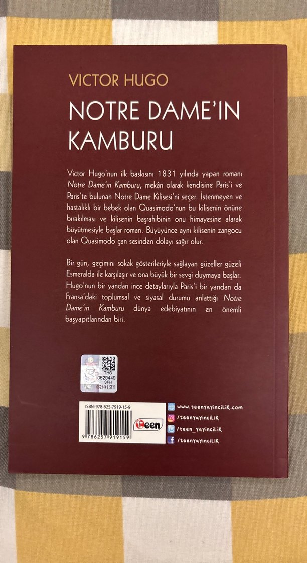 Klasik Roman Seti: Küçük Lord, Esrarli Ada, Notre Dame Kamburu - Görsel 5