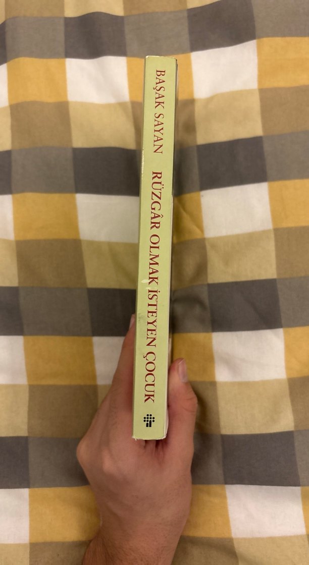 Rüzgar Olmak İsteyen Çocuk - Başak Sayan - Görsel 2