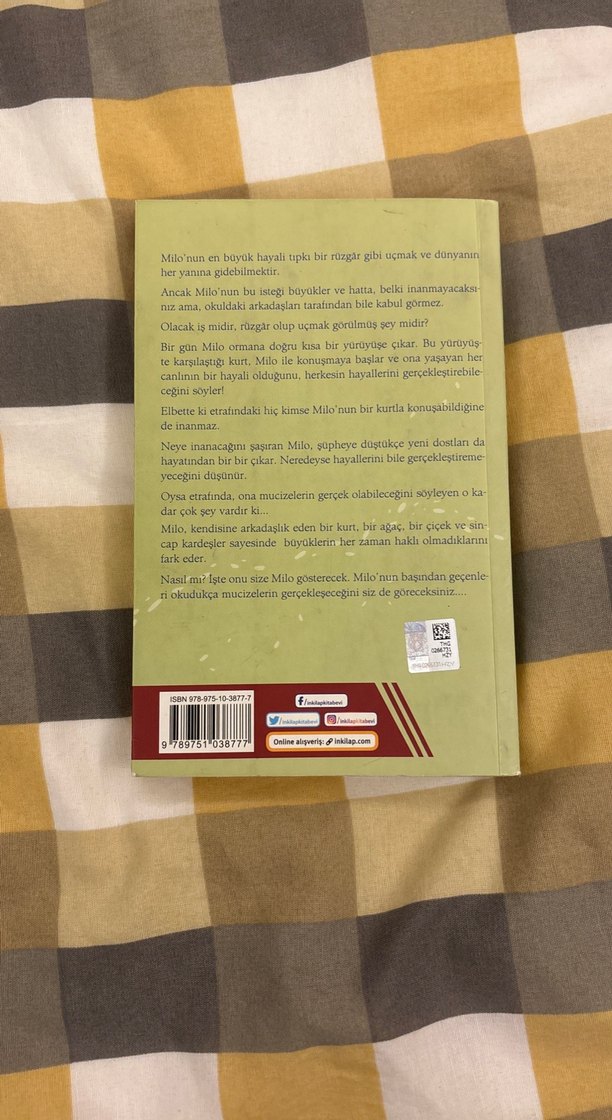 Rüzgar Olmak İsteyen Çocuk - Başak Sayan - Görsel 3