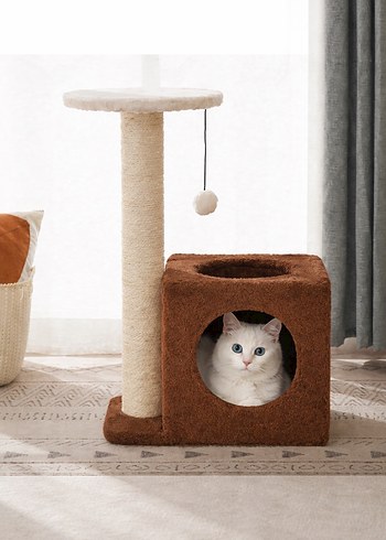 Mavi Kedi Tırmalama ve Oyun Evi - Görsel 5