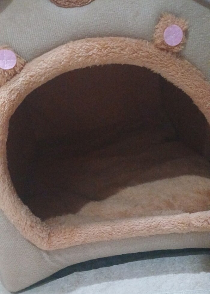 pelus kedi yuvasi - Görsel 3