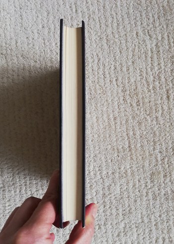 Sonrası: Ejderha Kral - Spiderwick Serisi - Görsel 3