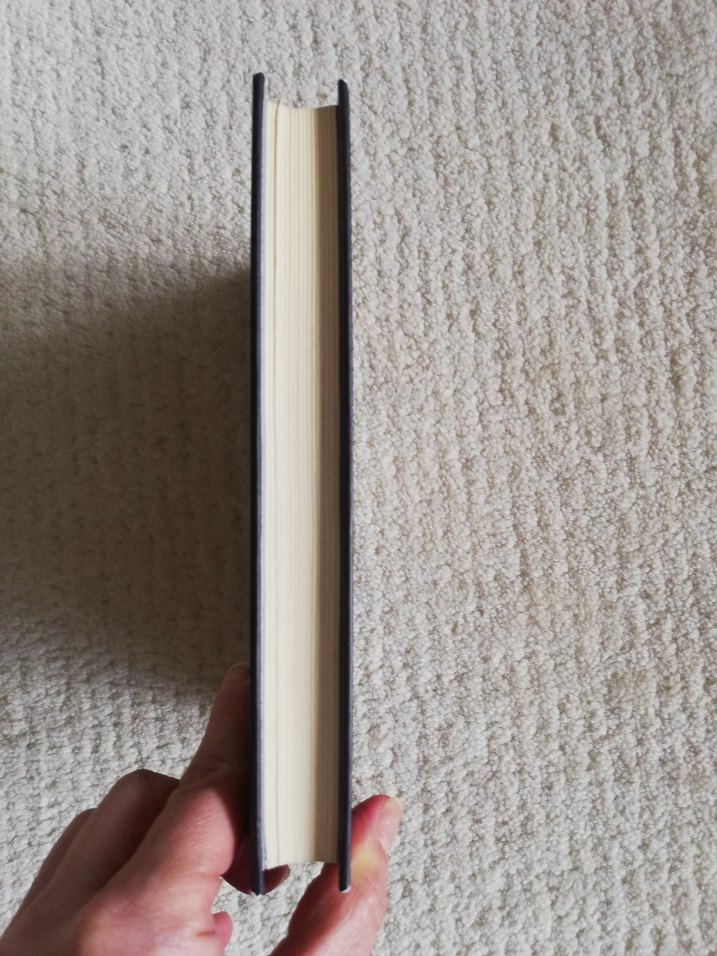 Sonrası: Ejderha Kral - Spiderwick Serisi - Görsel 3