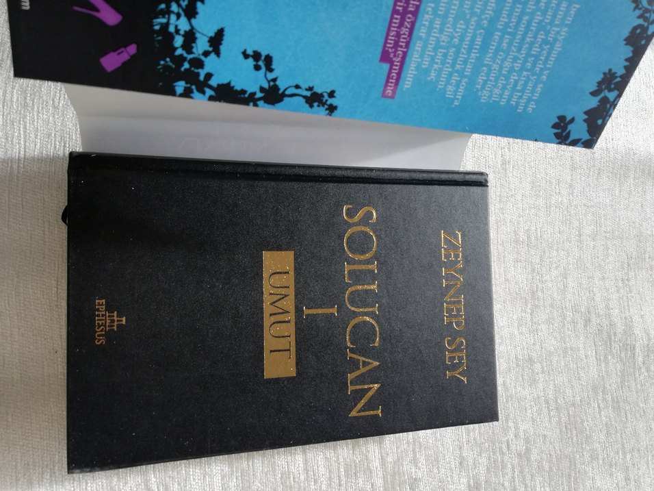 Solucan I - Umut ( imzalı) - Görsel 4