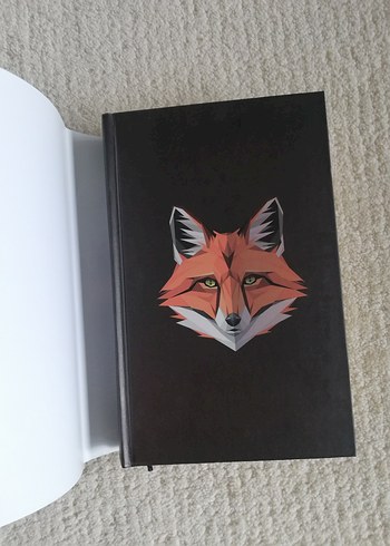 Işılsu Gültekin - Sonat Romanı - Görsel 4