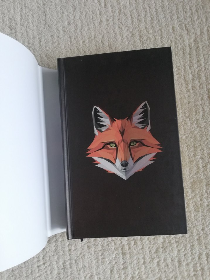 Işılsu Gültekin - Sonat Romanı - Görsel 4