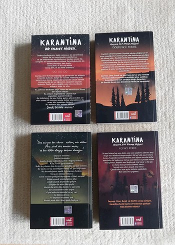 Beyza Alkoç'tan Karantina Roman Serisi - Görsel 2