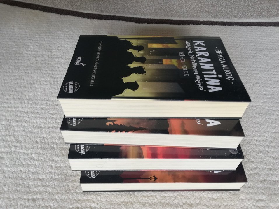 Beyza Alkoç'tan Karantina Roman Serisi - Görsel 3