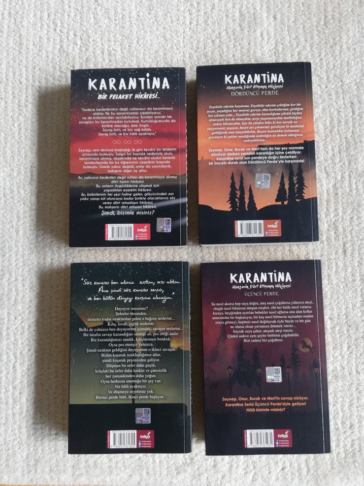 Beyza Alkoç'tan Karantina Roman Serisi - Görsel 2