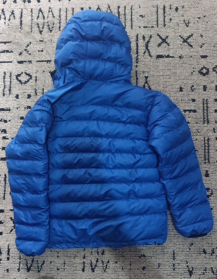 The North Face Mavi Kapüşonlu Erkek Mont - Görsel 2