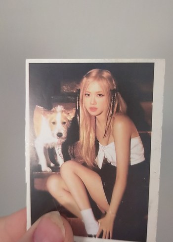 Koleksiyonluk rose fotokartlari ve Rosenin
kitabı - Görsel 7