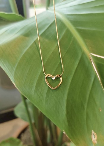 Kalp Çelik Kolye 45cm Gold - Görsel 2
