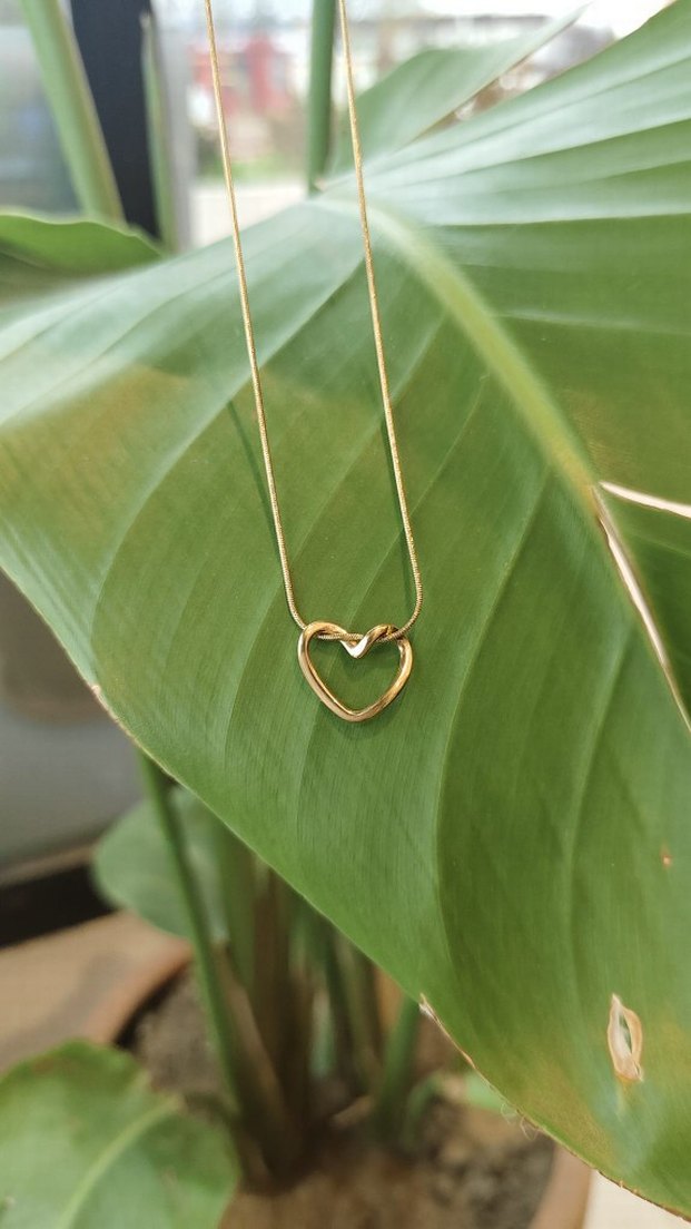 Kalp Çelik Kolye 45cm Gold - Görsel 2