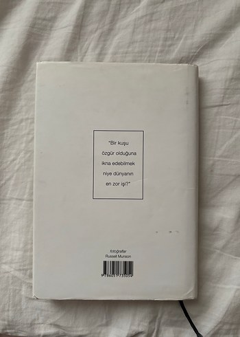 Martı Jonathan Livingston - Richard Bach Özel Seri - Görsel 2