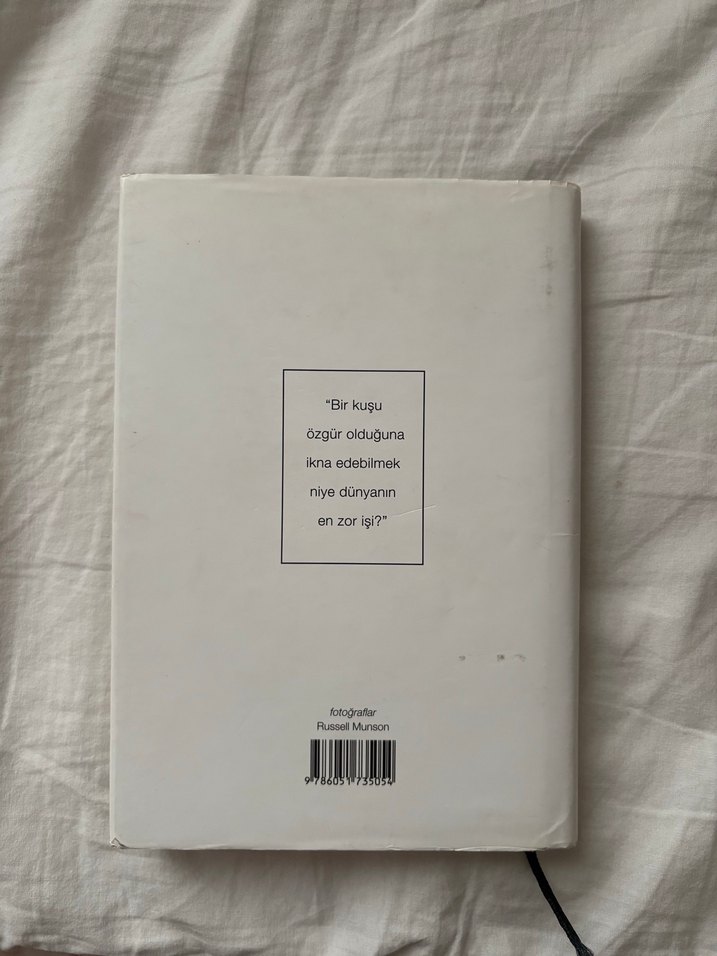 Martı Jonathan Livingston - Richard Bach Özel Seri - Görsel 2