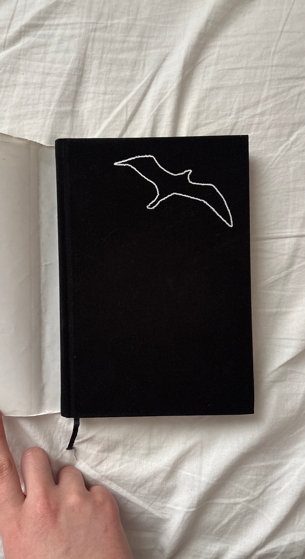 Martı Jonathan Livingston - Richard Bach Özel Seri - Görsel 3