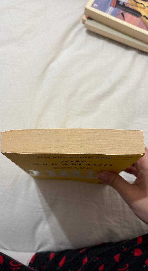 Körlük - José Saramago - Görsel 3