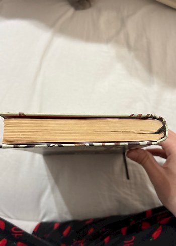 Pax - Sara Pennypacker - Görsel 3