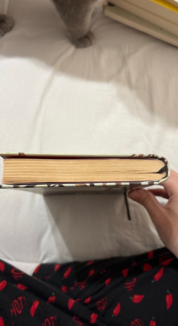 Pax - Sara Pennypacker - Görsel 3