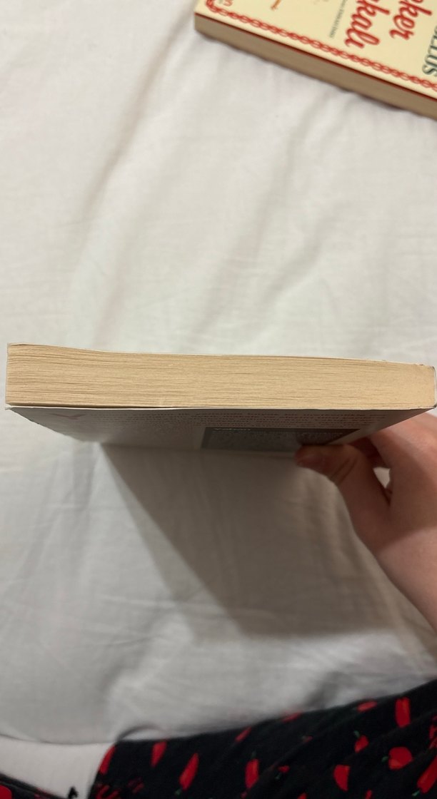 Yakup Kadri Karaosmanoğlu - Yaban Romanı - Görsel 4