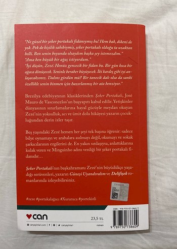 Şeker Portakalı - José Mauro de Vasconcelos - Görsel 2