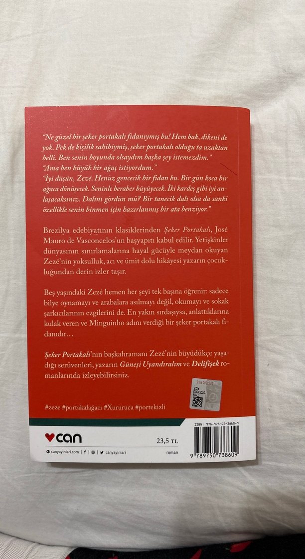 Şeker Portakalı - José Mauro de Vasconcelos - Görsel 2