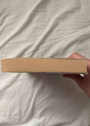 Stranger Things Şüpheci Zihinler - Görsel 2